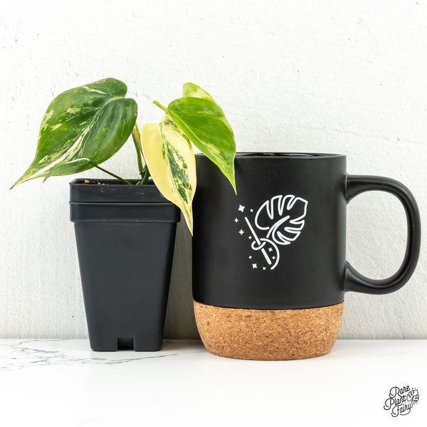 Philodendron Hederaceum Albo Variegated Heartleaf (wk6-L)