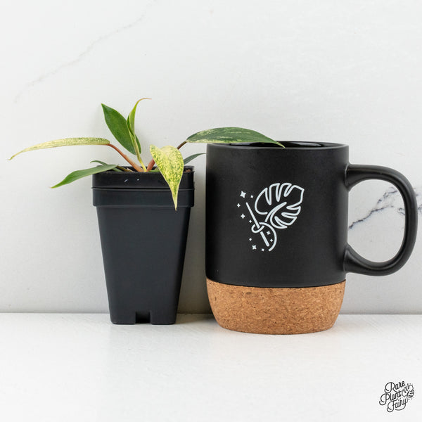 Philodendron 'Joepii' Variegated (wk48-G)