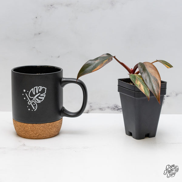 Philodendron 'Princess of Fire' (wk49-L)