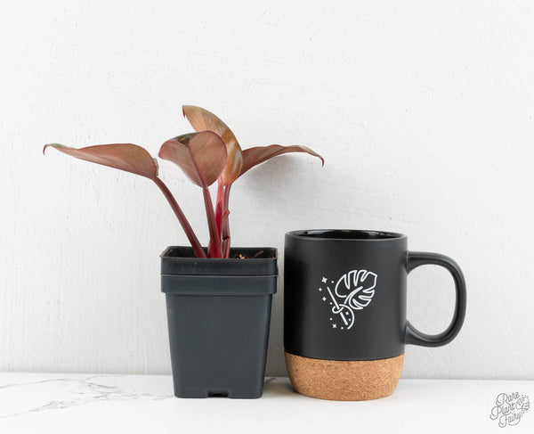 Philodendron 'Red Congo' Mint Variegated (wk12-I)