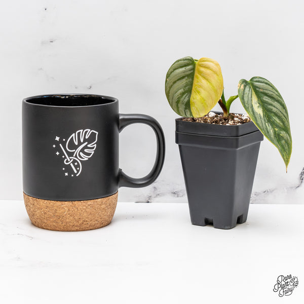 Philodendron Brandtianum Variegated (wk45-D)