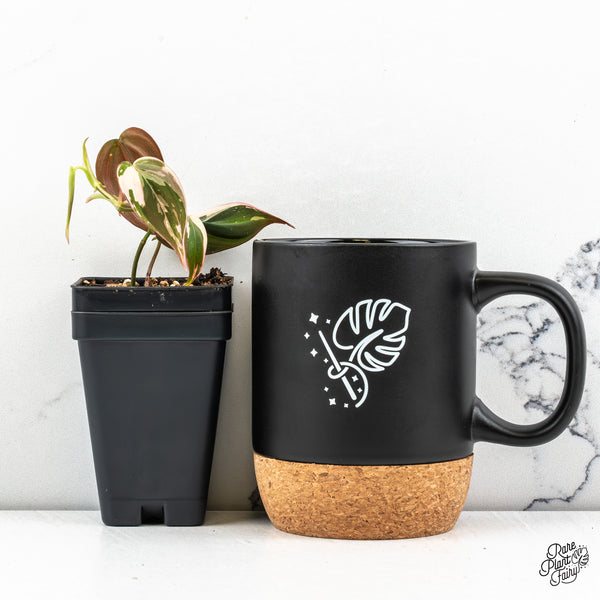 Philodendron Micans Albo/Pink Variegated (wk46-H)