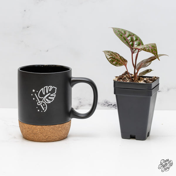 Piper crocatum *Grower's Choice*