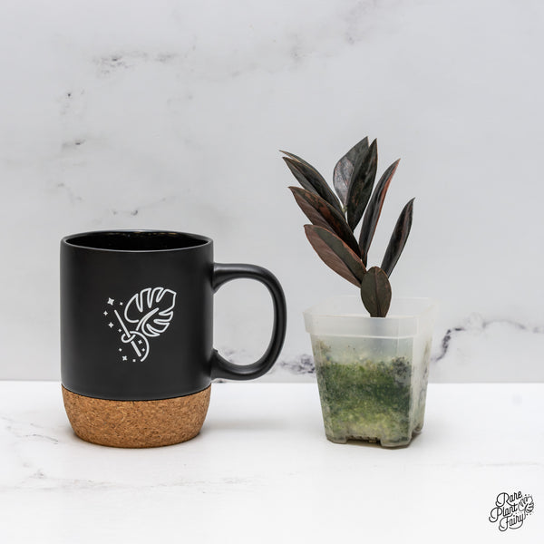 Zamioculcas Zamiifolia "Raven ZZ" Pink Variegated (wk47-UL)