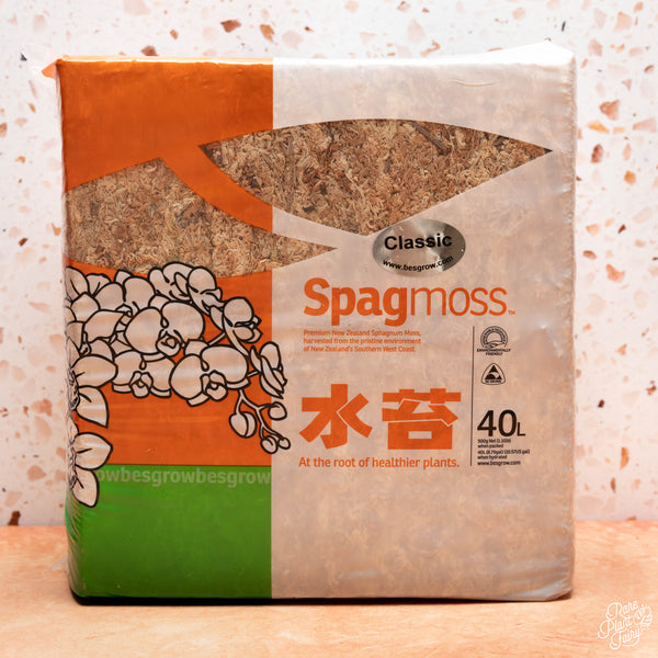 Besgrow Spagmoss 500g New Zealand Sphagnum Moss