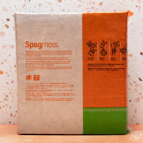 Besgrow Spagmoss 500g New Zealand Sphagnum Moss