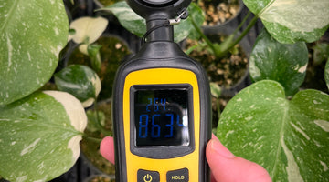 How to Accurately Measure Light for Plants Using Daily Light Integral (DLI)