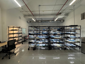 Ethically Sourced, Expertly Grown: How Rare Plant Fairy Sets a New Standard in Plant Sourcing