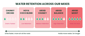 Which of Our Soil Mixes Does Your Plant Actually Need?