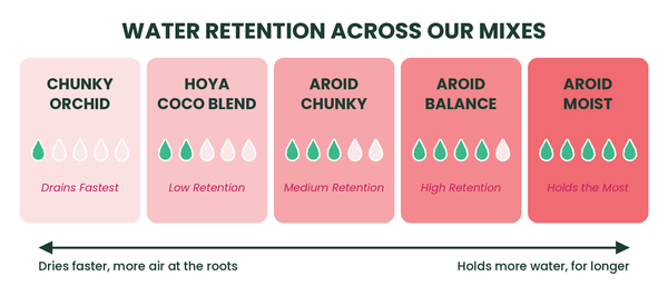 Which of Our Soil Mixes Does Your Plant Actually Need?