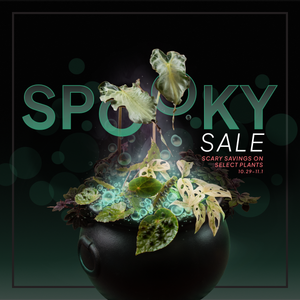 Spooky Plant Sale