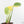 Monstera Deliciosa 'Light Lime' (Large Form) (wk23-UD)
