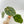 9053 Anthurium Red Velvet Cake '24' x Home, Sweet Home '32'