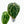 9021 Anthurium Zara ‘29’ x Zara ‘3’