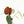 9031 Anthurium Red Velvet Cake ‘24’ x Zara ‘29’