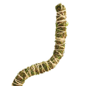 Mossify® Bendable Moss Pole™ THIN - 3 Pack