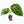 9045 Anthurium Brown Derby ‘39’ x Brown Derby ‘39’
