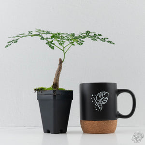 Adenia Perrieri (wk41-L338)