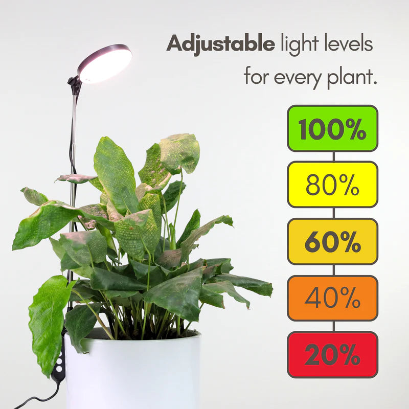 indoor plant pot with light Mossify® Adjustable LED Plant Light – Rare Plant Fairy