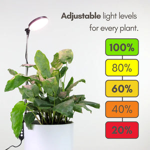 Mossify® Adjustable LED Plant Light