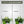 Mossify® Adjustable LED Plant Light
