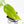 Aglaonema modestum 'Spilt Milk' (wk21-D)