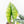 Alocasia 'Bisma Platinum' Aurea Variegated (wk21-Q) *Corming Size*