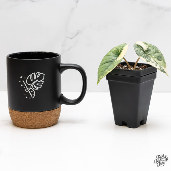 Alocasia 'Bisma Platinum' Albo Variegated (wk5-M)