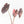 Alocasia Chantrieri Pink Variegated - Mother Plant (wk34-L68)