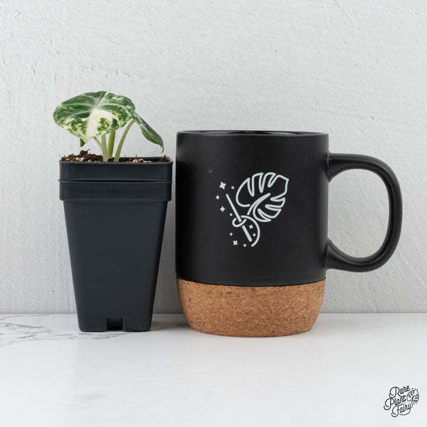 Alocasia 'Black Velvet Ninja' Albo Variegated *Grower's choice*