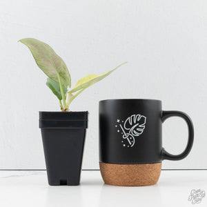 Alocasia Sintang Aurea Variegated (wk39-U150)