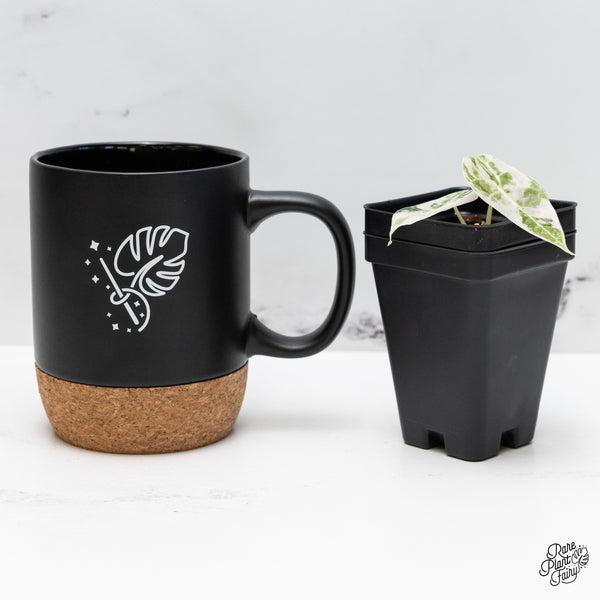 Alocasia Watsoniana Doff. Pink Variegated (wk45-Q)