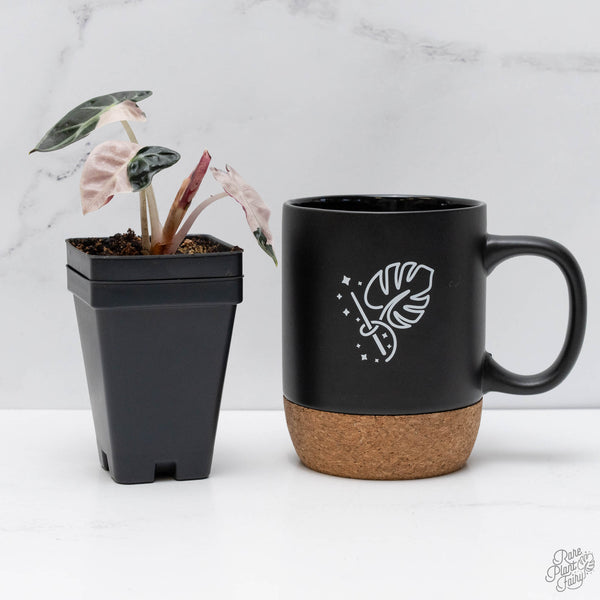 Alocasia 'Balloon Heart' Pink Variegated (wk10-V)