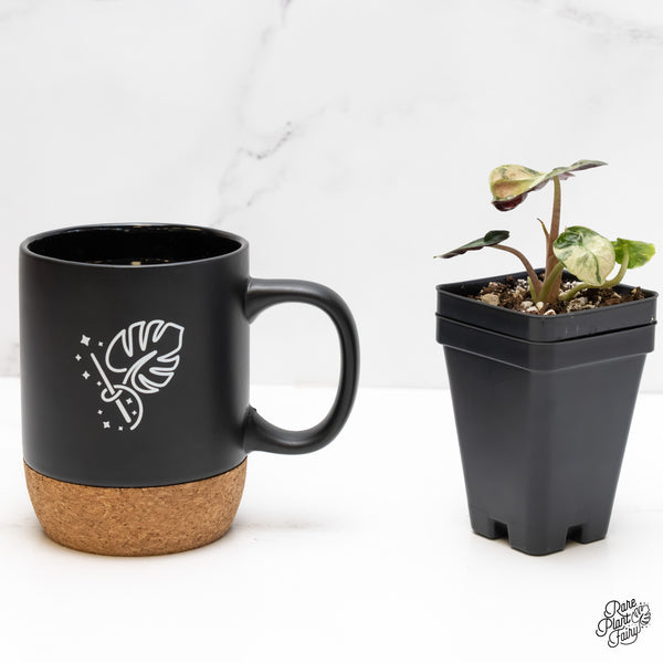 Alocasia 'Balloon Heart' Pink Variegated (wk5-L)