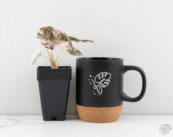 Alocasia 'Cuprea' Albo/Pink Variegated (wk11-UA)