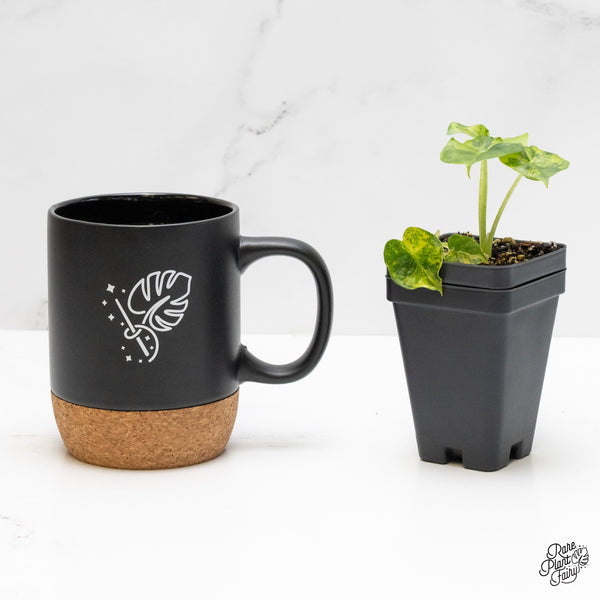 Alocasia 'London Eye' variegated (wk1-UJ)