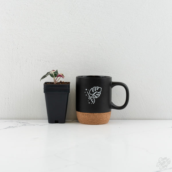 Alocasia 'Balloon Heart' Pink Variegated (wk8-A)