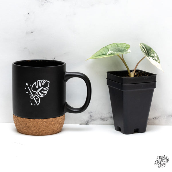 Alocasia Bisma 'Platinum' Albo Variegated (wk44-V)