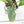Alocasia Reginae Albo Variegated (wk21-UT)