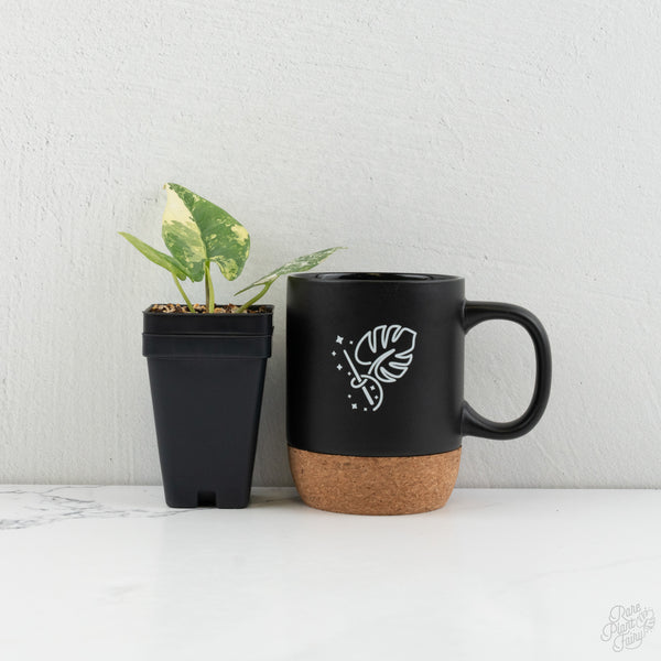 Alocasia Reginae Albo Variegated (wk8-J)