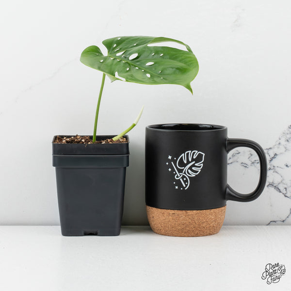 Amydrium sp. NOID (wk45-C)