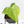 Anthurium Clarinervium Variegated (wk39-U152)