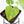 Anthurium Clarinervium Variegated (wk39-U152)