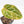 Anthurium Crystallinum variegated (wk20-UC)
