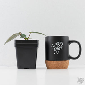 Anthurium Darth Vader '74' x Darth Vader '73' by DocBlock®