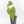 Anthurium 'Delta Force'  (wk29-H)