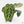 Variegated Anthurium 'Michelle' by DocBlock®  (wk15-UO)