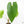 Anthurium 'Canal Queen' (Papillilaminum x Rugulosum) by Jay Vannini (wk19-M)
