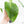 Anthurium 'Canal Queen' (Papillilaminum x Rugulosum) by Jay Vannini (wk19-M)