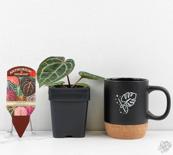 Anthurium Michelle '10' x Home, Sweet Home '32' by DocBlock® (wk11-L)